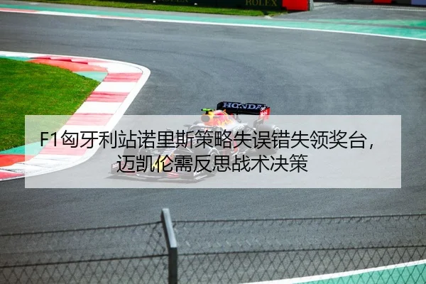 F1匈牙利站诺里斯策略失误错失领奖台，迈凯伦需反思战术决策
