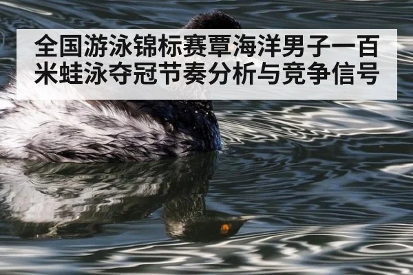 全国游泳锦标赛覃海洋男子一百米蛙泳夺冠节奏分析与竞争信号